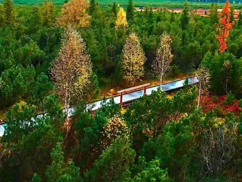 Jezerní slať – unikátní rašeliniště s vyhlídkovou věží v národním parku Šumava