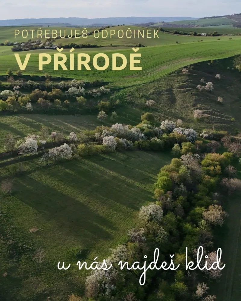 Exteriér