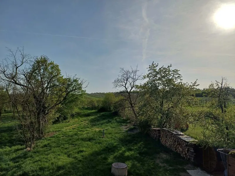 Zahrada s výhledem na vinice a rozkvétající stromy