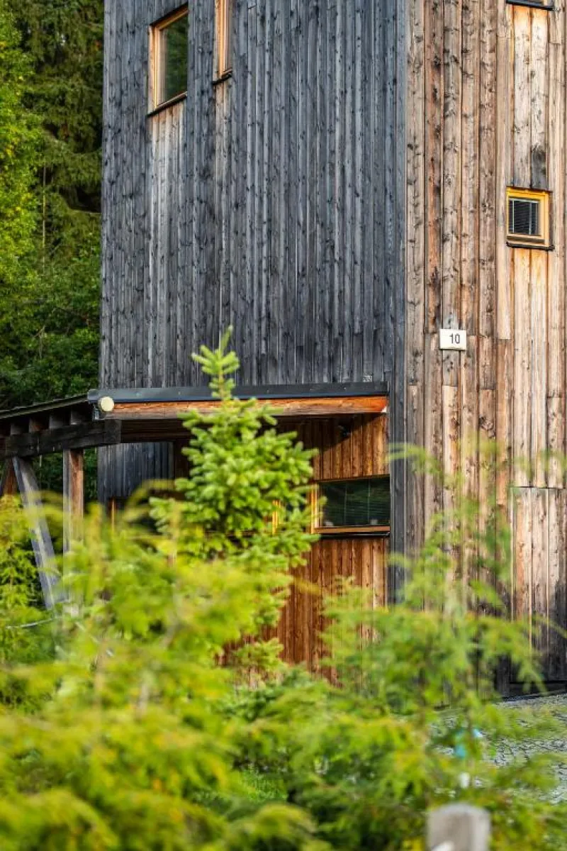 Dřevěná fasáda domku číslo 10 mezi smrčky