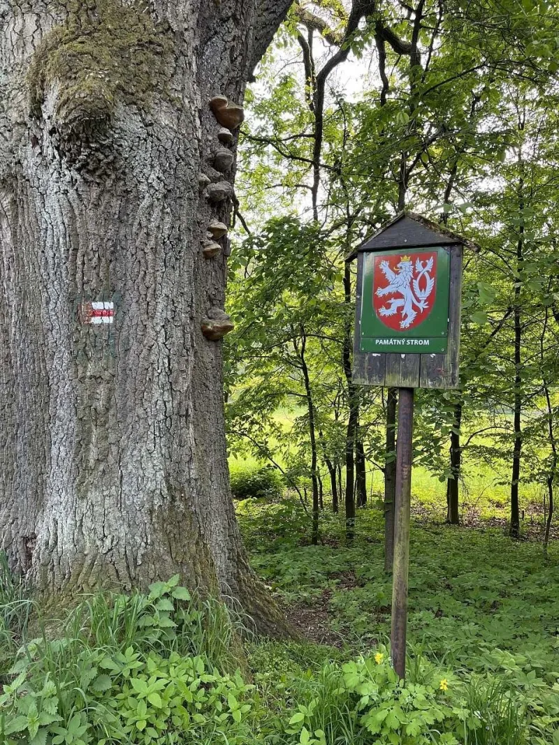 Okolí