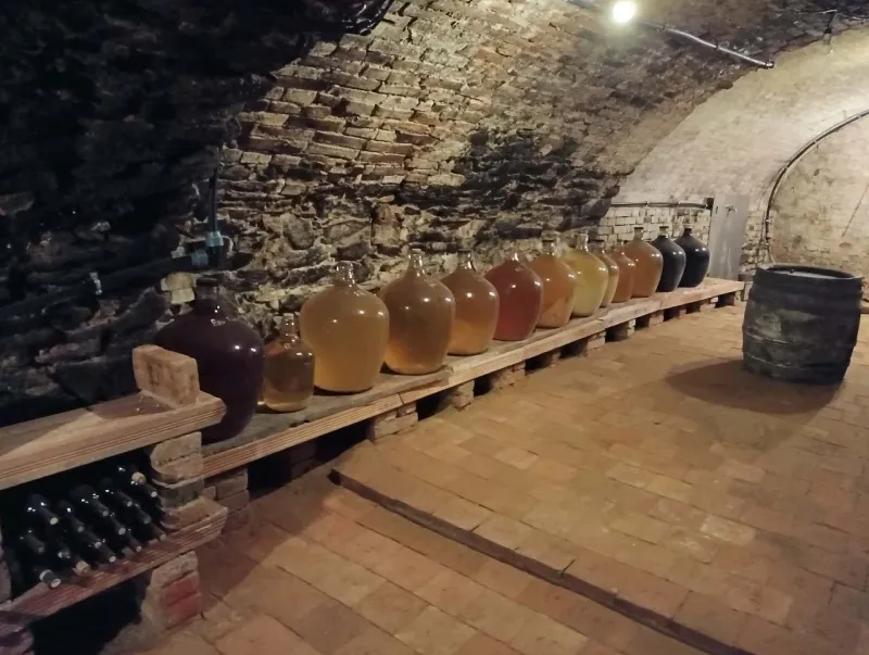 Cihlový sklep s demižony a sudem