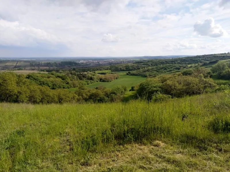 Výhled