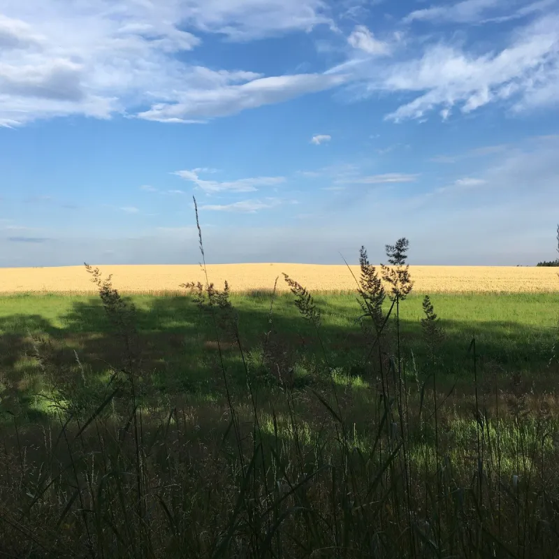 Výhled
