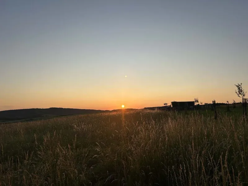 Výhled