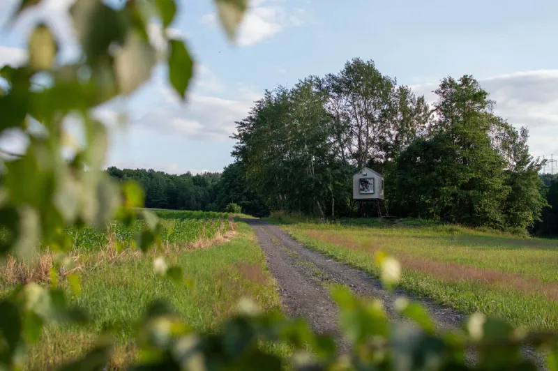 Domek na pilířích u lesa nad polní cestou