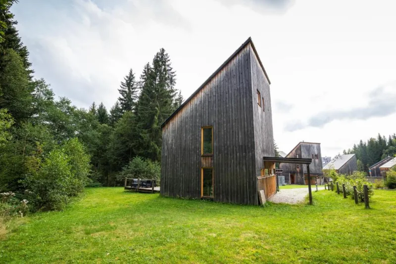 Moderní dřevěný domek se zelenou zahradou u lesa