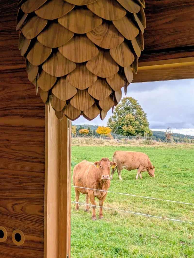 Glamping Na Malém Háji - Kravičky