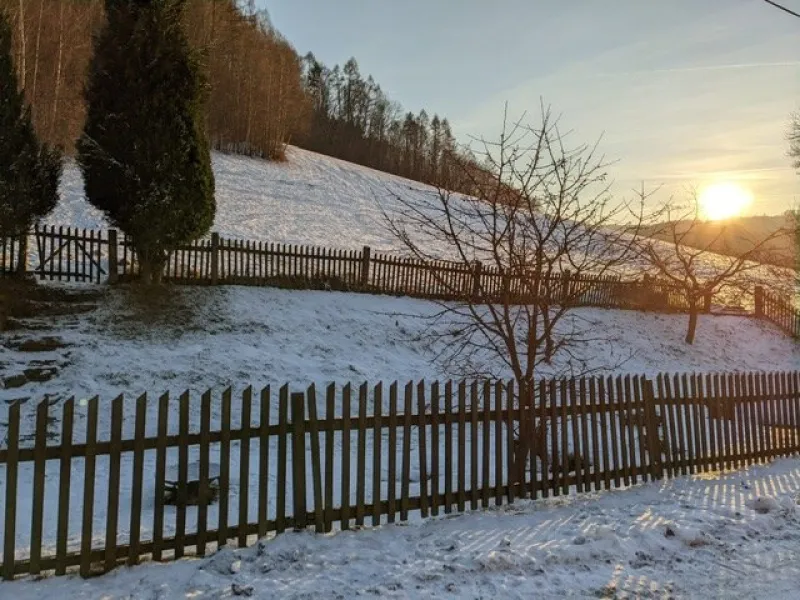 Zahrada
