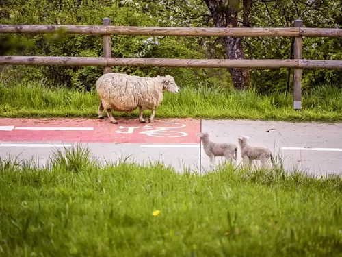 Cyklostezka Bevlava – dálková cyklotrasa Bečva-Vlára-Váh