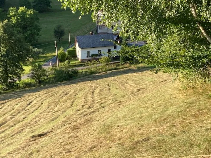 Výhled