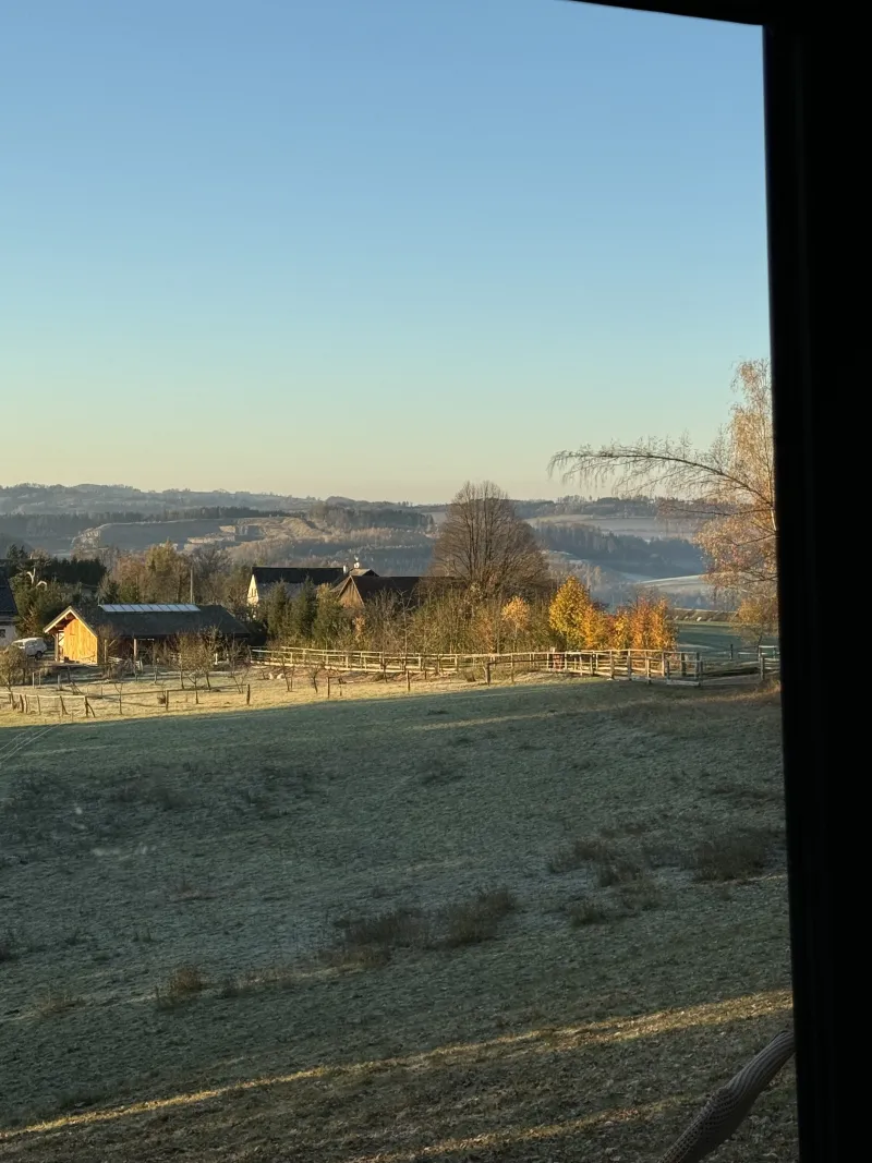 Výhled