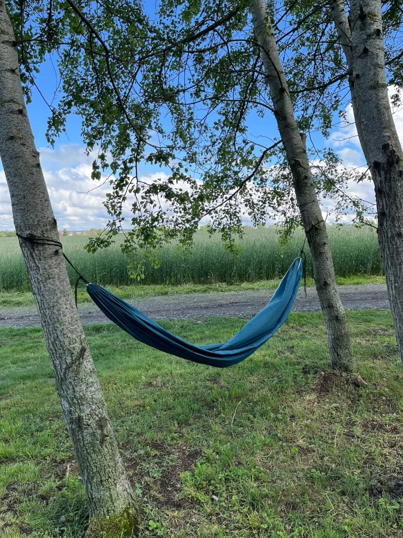 Houpací síť mezi břízami u pole