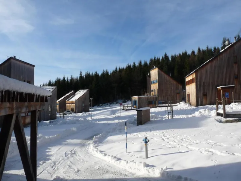 Dřevěné chaty v zasněženém horském areálu