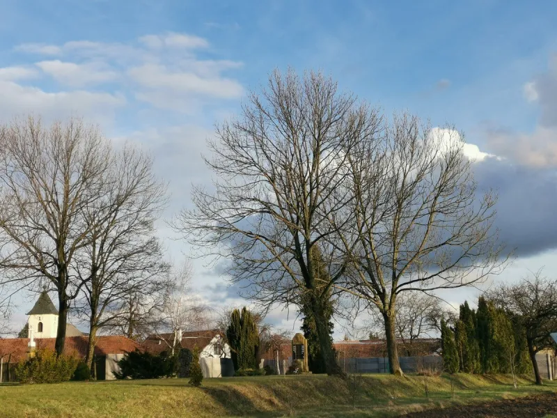 Okolí