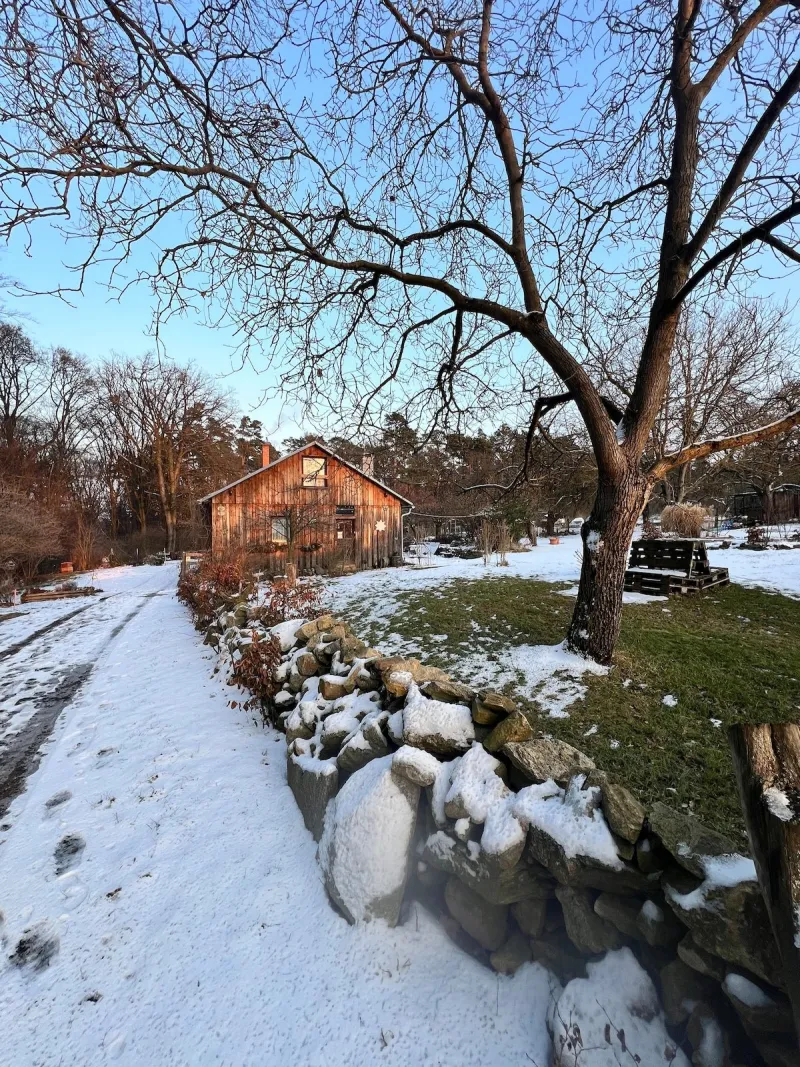 Exteriér
