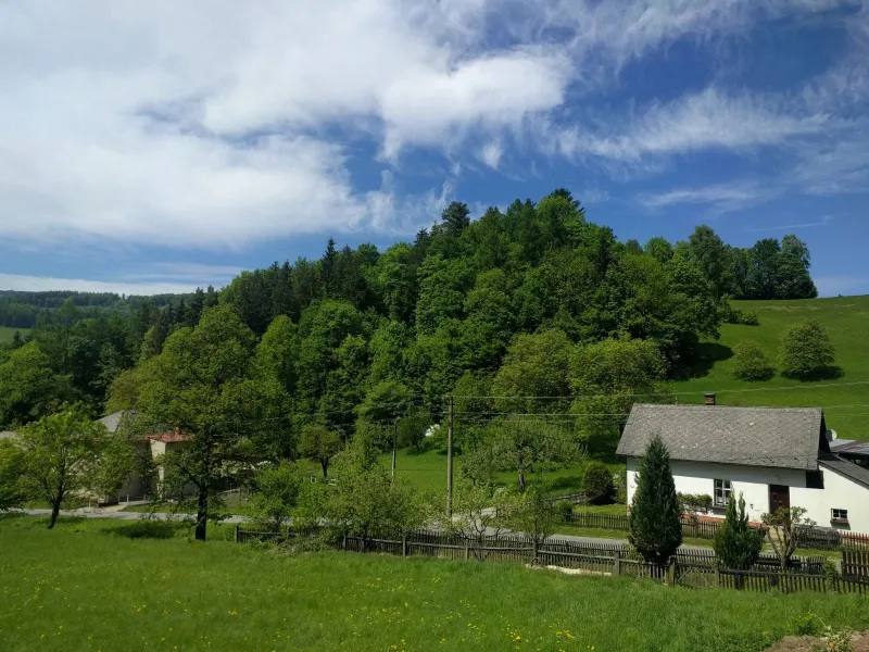Výhled