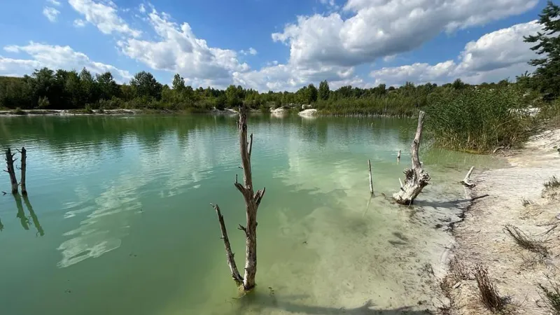 Tyrkysové jezero s odumřelými kmeny a pískovým břehem