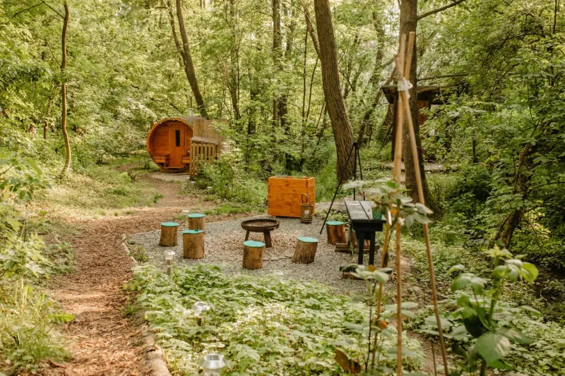 Sudová sauna a ohniště v lese