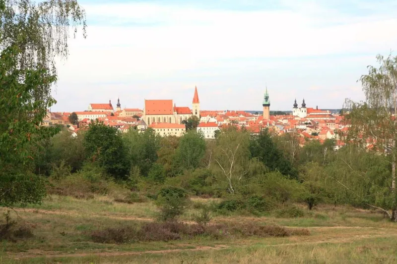 Výhled na historické město s červenými střechami