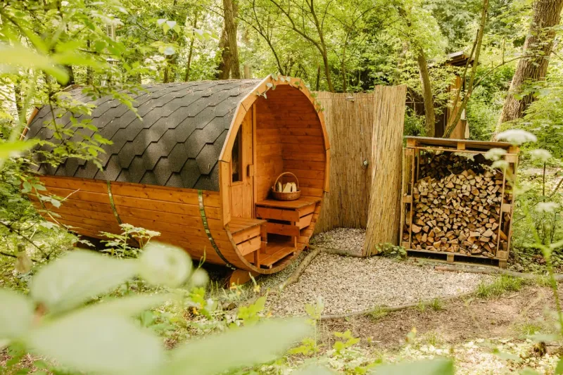 Sudová sauna a dřevo v lese