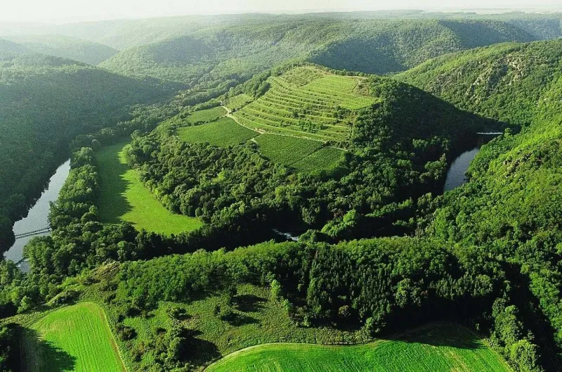 Letecký pohled na říční meandr s terasovitými vinicemi