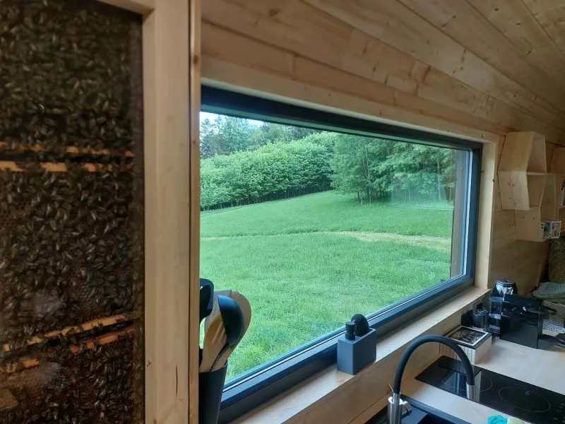 Výhled
