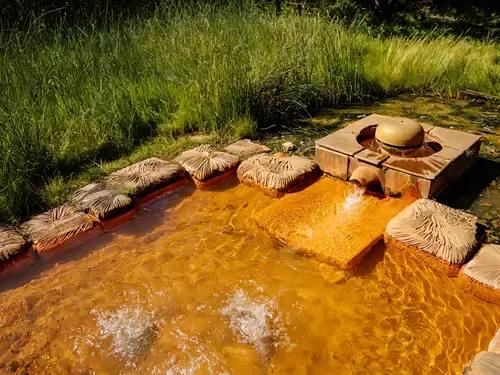 Národní přírodní rezervace Soos – český Yellowstone nedaleko Františkových Lázní